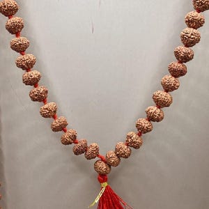 Indonesian 6 Mukhi Rudraksha Mala 108 Beads