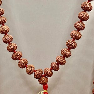 Indonesian 8 Mukhi Rudraksha Mala 108 Beads