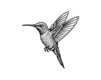 Kolibri-Vektorgrafik, SVG, PNG, JPG, Kolibri-Kunst, Kolibri-Clipart, Kolibri-Silhouette, Vogelliebhaber Design, Kolibri