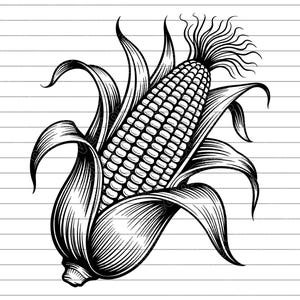 Ilustración vectorial de maíz, SVG, PNG, JPG, arte de maíz, imágenes prediseñadas de maíz, silueta de maíz, cosecha agrícola, maíz orgánico, diseño para Cricut