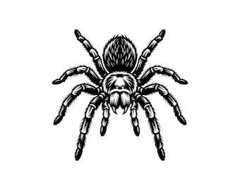 Tarantula Spider Vector Illustration, SVG, PNG, JPG, Spider, Spider Clipart, Spider Silhouette, Creepy Spider Design, Arachnid Lover, Cricut