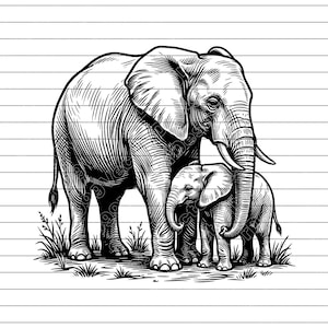 May include: A detailed black and white illustration of an adult elephant and a calf. The adult elephant has prominent tusks and stands beside the smaller calf. The image uses shading and lines to create detail.