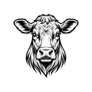 Cow Head Vector Illustration, SVG, PNG, JPG, Cow Art, Cow Clipart, Cow Silhouette, Farm Animal Design, Cattle Head, Cricut Design, Cut File