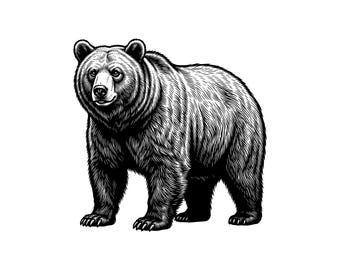 Bear Vector Illustration: SVG, PNG, JPG (Digital Download)