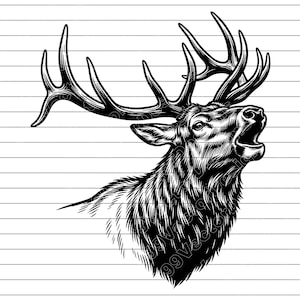 May include: A detailed black and white illustration of a roaring elk. The elk's head is turned to the side, mouth open, with large antlers. The fur is detailed with shading and lines, creating a textured appearance. The background is a series of horizontal lines.