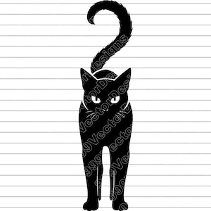 Halloween Black Cat Vector Art: SVG, PNG, JPG (Digital Download)