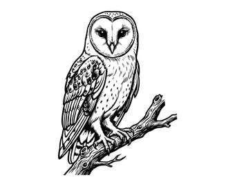 Schleiereule auf Ast sitzend Vektor-Illustration, SVG, PNG, JPG, Eulenkunst, Eule Clipart, Eulen-Silhouette, Eulen-Design, Eulen-Cricut-Design