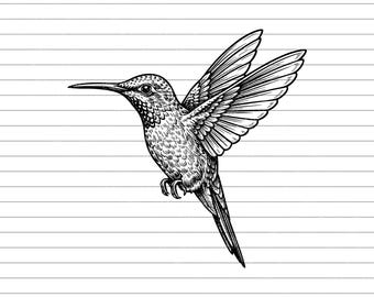 Hummingbird Vector Illustration, SVG, PNG, JPG, Hummingbird Art, Hummingbird Clipart, Hummingbird Silhouette, Bird Lover Design, Hummingbird