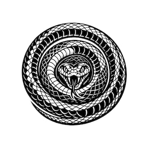 Aufgerollte Schlange, Vektor-Illustration, SVG, PNG, JPG, Schlange, Schlange Clipart, Schlange Silhouette, Aufgerollte Schlange Design, Reptilien-Illustration, Cricut