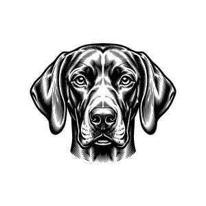 German Shorthaired Pointer Head Vector Illustration, SVG, PNG, JPG, Pointer Dog, Dog Face Clipart, Silhouette, Hunting Dog Design, Dog Lover