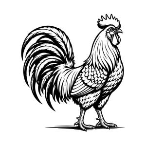 Puede incluir: Una ilustración gráfica en blanco y negro de un gallo de perfil. El diseño presenta líneas marcadas y un alto contraste, destacando el plumaje detallado de las plumas de la cola, el ala texturizada y la cresta distintiva en la cabeza.