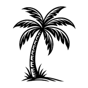 Ilustração vetorial de palmeira tropical: SVG, PNG, JPG