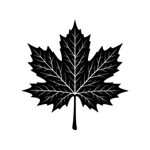 Puede incluir: Gráfico en blanco y negro de una hoja de arce. La hoja es una silueta con venas blancas detalladas. Tiene cinco lóbulos distintos y un largo tallo, sobre un fondo blanco liso.