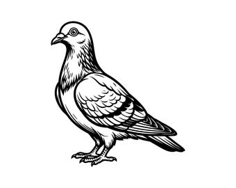 Pigeon Vector Illustration, SVG, PNG, JPG, Pigeon Art, Bird Clipart, Pigeon Silhouette, Flying Bird, Wildlife Design, Pigeon Cricut Design