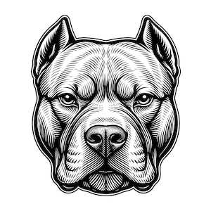Pitbull huvudemblem vektorillustration, SVG, PNG, JPG, Pitbull, hundemblem, Pitbull Clipart, Pitbull siluett, stark hunddesign, Cricut