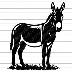Donkey Vector Illustration: SVG, PNG, JPG Art (Digital Download)