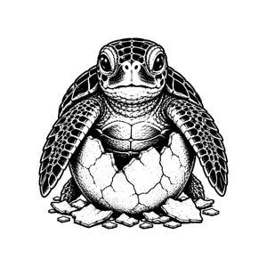 May include: A black and white graphic illustration of a baby sea turtle emerging from a cracked egg. The turtle has large, detailed eyes and textured scales on its flippers and shell, with small fragments of the broken eggshell scattered at the base.