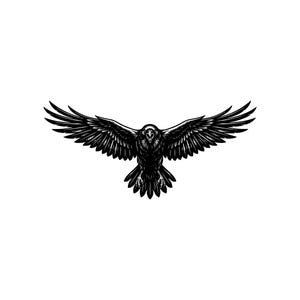 May include: A black and white graphic illustration of a raven in flight with its wings fully extended. The bird is depicted from a front-facing perspective, showcasing detailed feather textures and sharp talons visible beneath its body.
