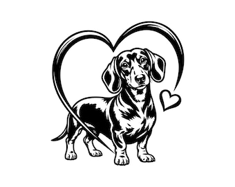 Dachshund Dog with Heart Vector Illustration, SVG, PNG, JPG, Dachshund Clipart, Wiener Dog Silhouette, Cricut Art, Print Design, Cut File