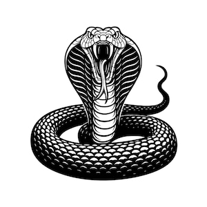 Illustration vectorielle de serpent cobra : art SVG, PNG, JPG