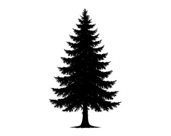 Pine Tree Vector Illustration: SVG, PNG, JPG, Clipart