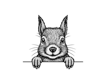 Ilustración vectorial de una ardilla asomándose: SVG, PNG, JPG, imágenes prediseñadas (descarga digital)
