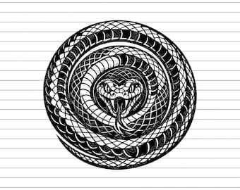 Coiled Snake Vector Illustration, SVG, PNG, JPG, Snake, Snake Clipart, Snake Silhouette, Coiled Serpent Design, Reptile Illustration, Cricut