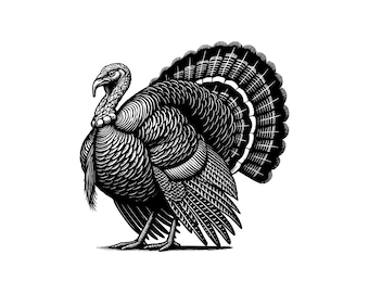 Wild Turkey Vector Art: Thanksgiving SVG, PNG, JPG