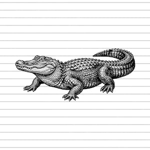 May include: Detailed black and white illustration of an alligator. The alligator is depicted in a side profile, showcasing its textured scales, sharp teeth, and powerful limbs. The artwork is set against a backdrop of horizontal lines.