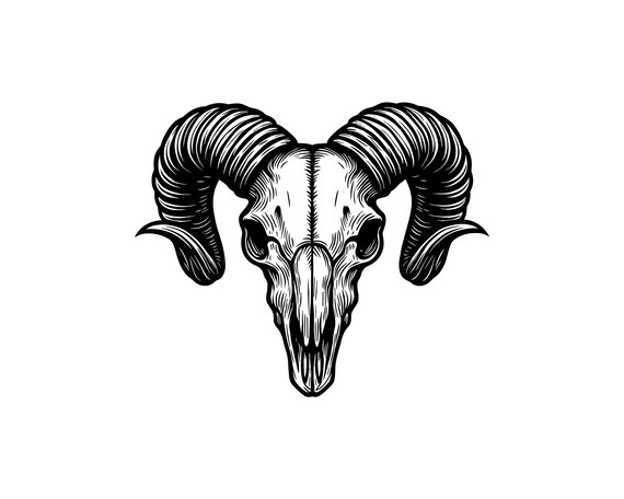 Ram Skull Vector Illustration, SVG, PNG, JPG, Ram Skull, Skull Clipart, Skull Silhouette, Skull Cricut, Western Design, Skull, Print Design