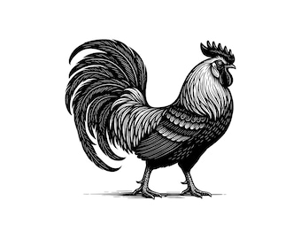 Ilustração vetorial de galo: ilustração de fazenda, clipart em SVG e PNG.
