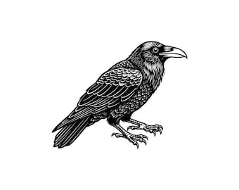 Raven Vector Illustration, SVG, PNG, JPG, Raven, Raven Clipart, Raven Silhouette, Gothic Bird Design, Dark Crow Style, Raven Cricut Design