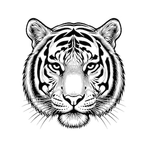 Tiger Head Vector Illustration: SVG, PNG, JPG (Digital Download File)
