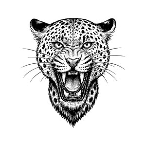 May include: A black and white ink illustration of a snarling leopard head. The feline is depicted with its mouth wide open, revealing sharp teeth and a textured tongue. The fur is covered in detailed dark spots, with long whiskers extending outward.