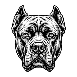 Cane Corso hoofd vectorillustratie: (SVG PNG JPG) Cane Corso, hond gezicht clipart, hond hoofd silhouet, Italiaans Mastiff ontwerp, Cane Corso hond