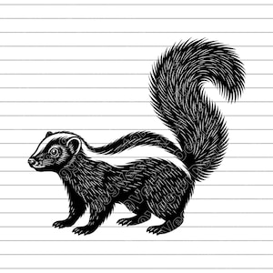 Peut inclure: Illustration en noir et blanc d'un putois. Le putois est représenté de profil, avec une queue touffue proéminente et une bande blanche sur le dos. L'œuvre d'art a un aspect détaillé et texturé.