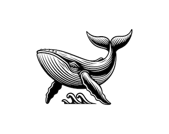 Humpback Whale Vector Illustration, SVG, PNG, JPG, Whale Art, Whale Clipart, Whale Silhouette, Ocean Whale, Marine Whale, Cricut Design