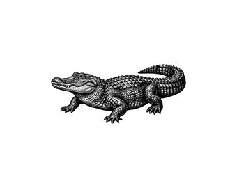 Alligator Vector Illustration, SVG, PNG, JPG, Alligator, Alligator Clipart, Alligator Silhouette, Crocodile Design, Reptile Lover, Cricut