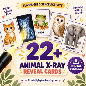 Op de afbeelding: Een set educatieve kaarten getiteld Flashlight Science Activity met illustraties van een kat, kikker, uil en olifant, waarbij één kaart een katskelet toont. De tekst bevat 22+ Animal X-Ray Reveal Cards en Digital Download.