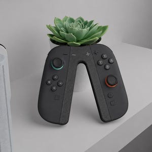 Può includere: Un controller di gioco nero con superficie testurizzata, un pad direzionale, quattro pulsanti azione etichettati A, B, X e Y, e due levette analogiche con un anello color ottanio e uno arancione, posizionato dietro una piccola pianta grassa.
