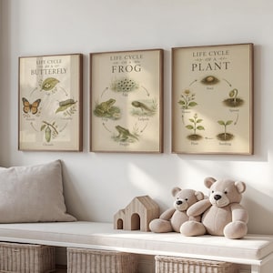 Life Cycle Poster Set of 3, Vintage Educational Nursery Art for Kids