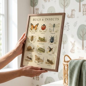 May include: A framed educational wall art print titled BUGS & INSECTS featuring detailed illustrations of a butterfly, ladybug, dragonfly, bee, grasshopper, beetle, snail, caterpillar, firefly, ant, moth, and cricket on a cream-colored background.