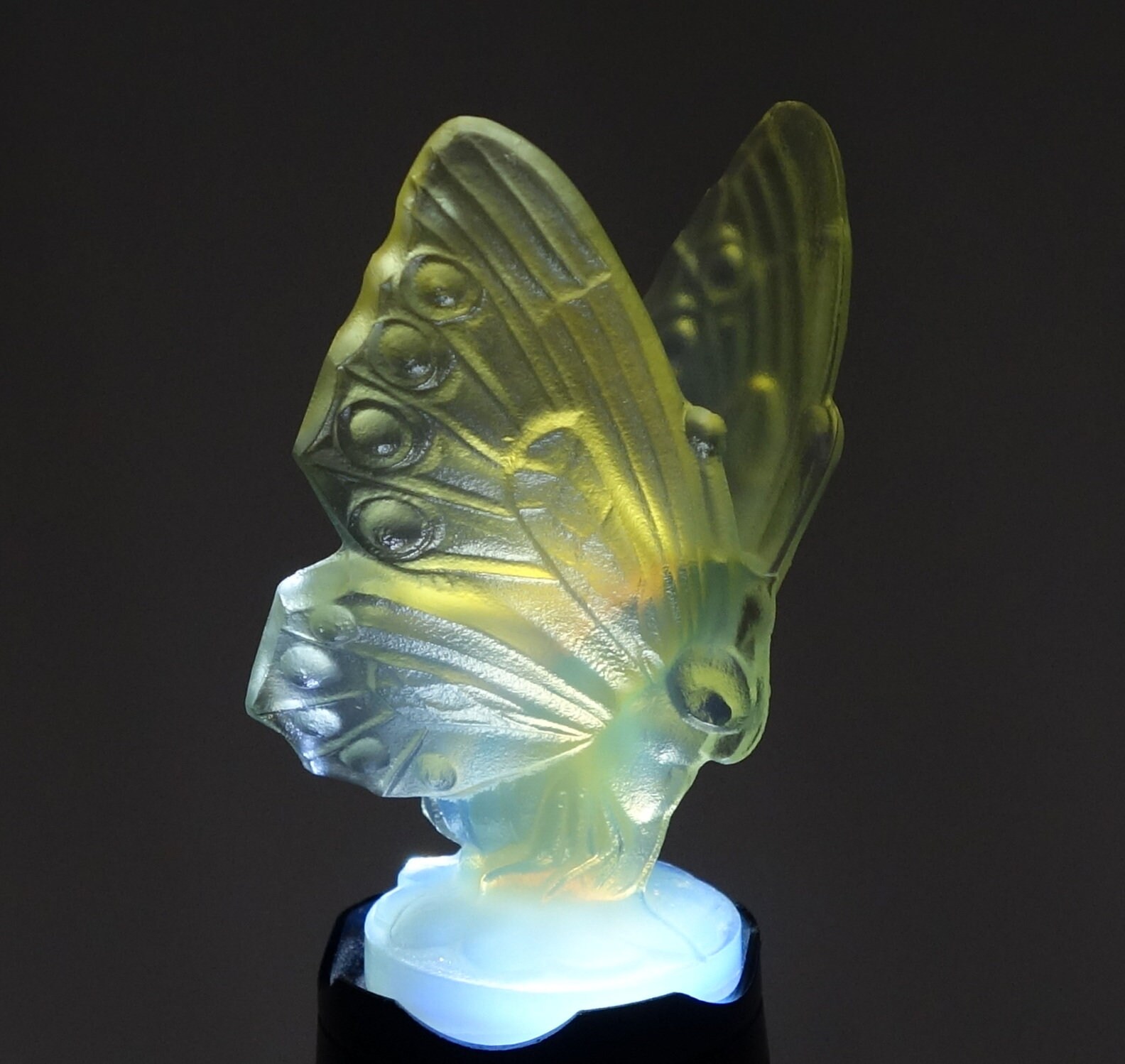 Sabino Art Glass - Etsy