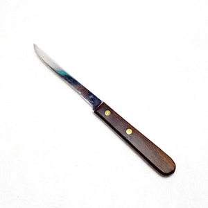 Vintage Robinson Knife Co. USA Semi Serrated Stainless Fish Scaling Rosewood Handle Utility Processing Knife