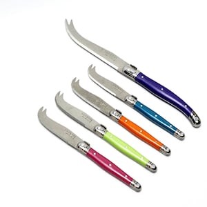 Vintage Jean Dubost Thiers France Bee Bolster Acrylic Rainbow Scales 5 Piece Laguiole Cheese Knife Set