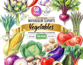 Pode incluir: Conjunto de cliparts em aquarela com vários vegetais, incluindo alcachofra, pimenta vermelha, alho, beterraba, aspargos, tomate, repolho, milho, cebola, cogumelos, berinjela, abacate e muito mais. A imagem inclui o texto "Vegetables" e "58 PNG".