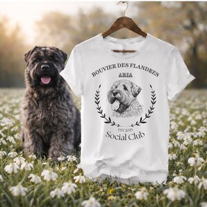 Koszulka Bouvier Des Flandres Social Club z nadrukiem, spersonalizowany prezent dla właściciela psa