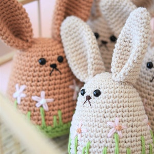 Frühlingshase Amigurumi Anleitung, Häkelanleitung, Osterhase, Hasenei, Anleitung, Rezept Bild 3