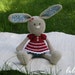 Brooke Williamson reviewed PATTERN - Frilly-pants Bunny, crochet amigurumi toy