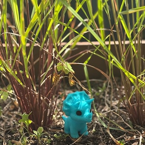 Dinosaurier Triceratop